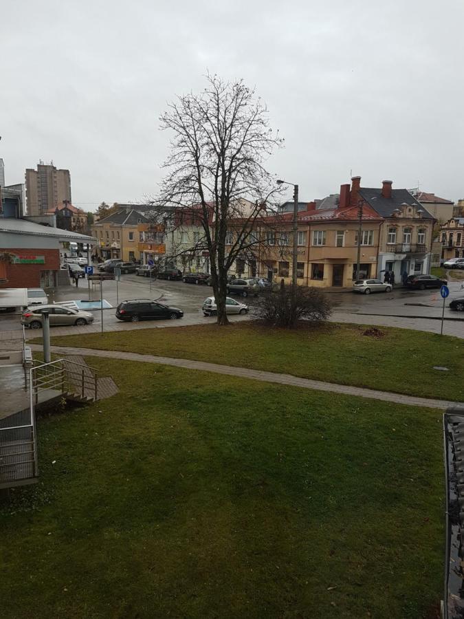 Apartments In Panevezys City Center エクステリア 写真